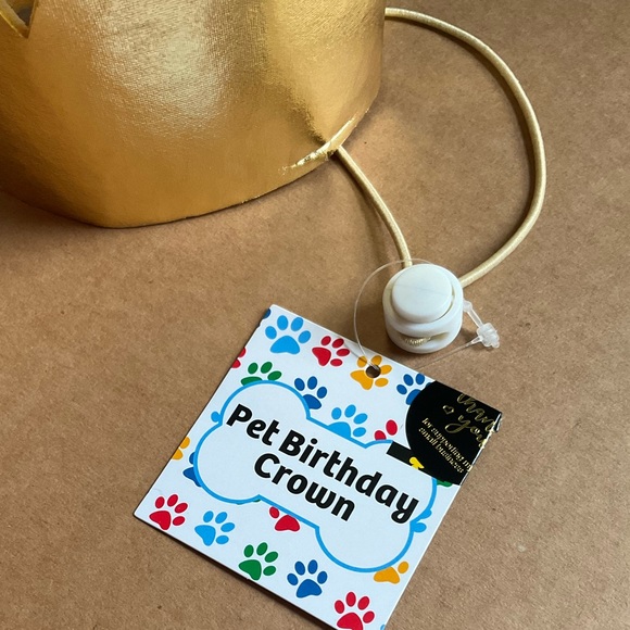 Pet Birthday Crown. Small Adjustable - Picture 3 of 4